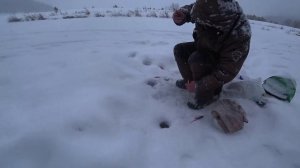 Ловля ГОЛОВЛЯ,ЕЛЬЦА,ПЛОТВЫ зимой!!! Река Белая..mp4