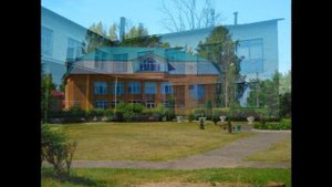 поселок Плюсса Псковская область