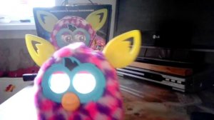 Как сделать furby boom девочкой и мальчиком?