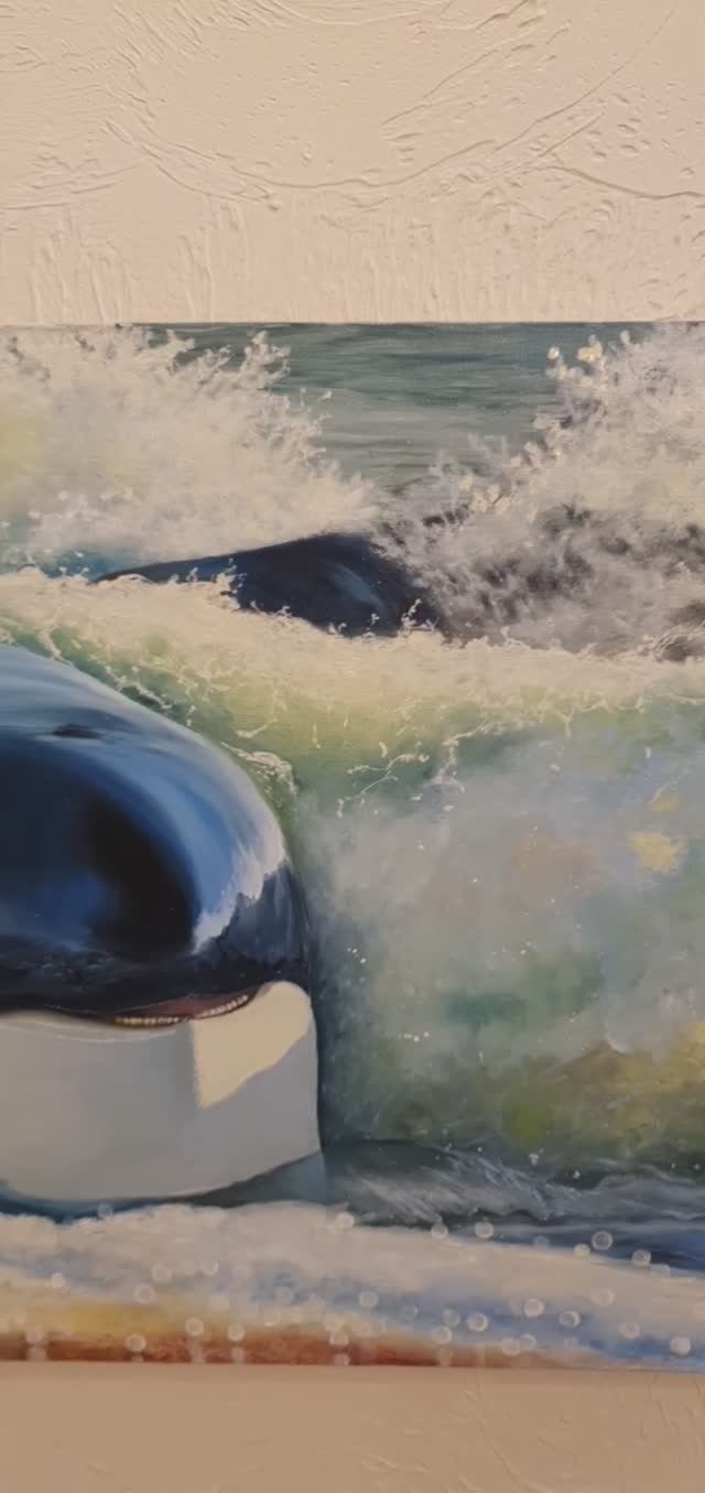 Косатка на мелководье смотреть онлайн