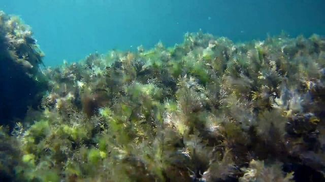 GitUp Git2. 1080p 60 fps. girostabilization off. смотреть онлайн