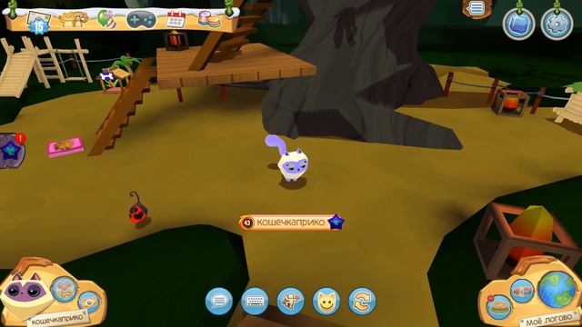 Обзор на ГИМАЛАЙСКУЮ КОШКУ и пета божью коровку в Animal Jam смотреть онлайн