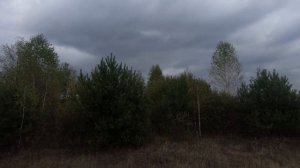 Охота на вальдшнепа осенью.