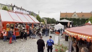 Vlog #49 День Города Riesa 2022 Германия StadtFest Riesa, Жизнь в Германии