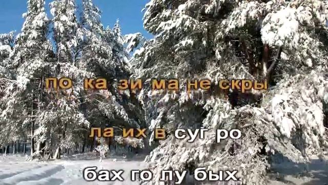 Таёжная ёлочка