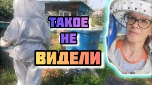 ВИДЕЛИ ТАКОЕ? МЫ ВПЕРВЫЕ... СТРАШНО и КРАСИВО VLOG Семейный канал