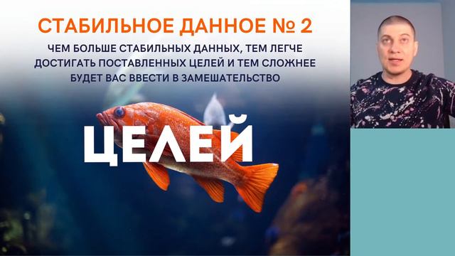Стабильные данные в гиперреализме
