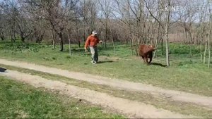 Сема первый день на воле. Полив картошки ,, Туманом ,,.