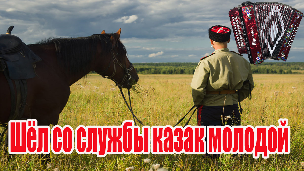 Песня шел со службы казак молодой текст. Молодой казак. Песня шел казак молодой. Казаки в поле. Шёл со службы казак