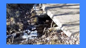 Экскурсия на Троитское озеро в ВАСКЕЛОВО. Весна лёд!!!