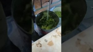 как быстро нарубить щи