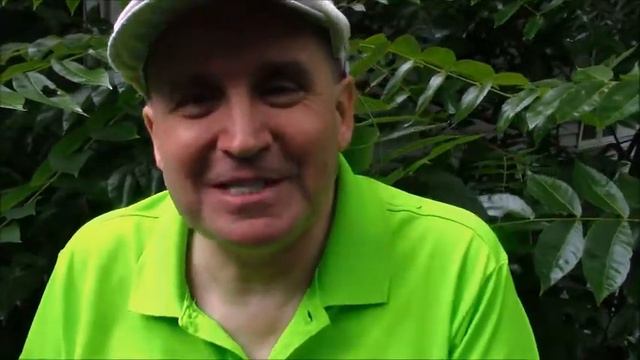 Immersed musicianship смотреть онлайн