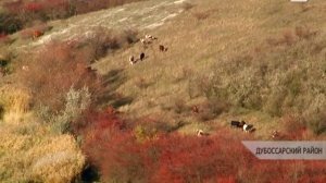 Заповедники и национальные парки - особо охраняемые и особо оберегаемые
