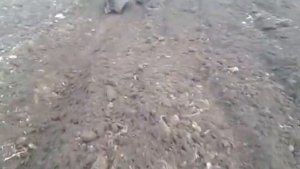 Плуг плн 3,35 в работе. Пашем участок. Настройка плуга.