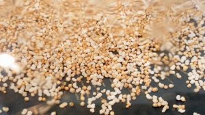 Попкорн из амаранта/ полезная каша