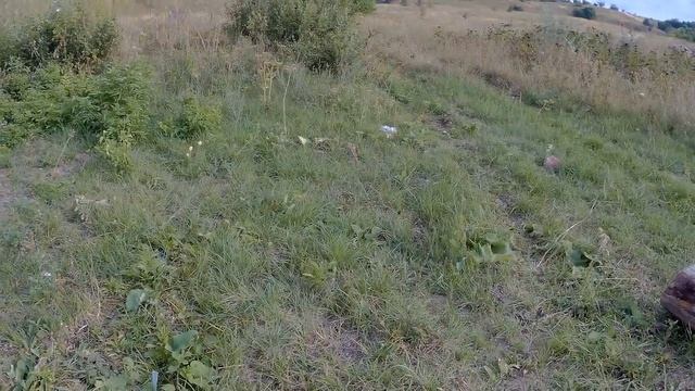 РИО 32г №5 вполне народный патрон. смотреть онлайн