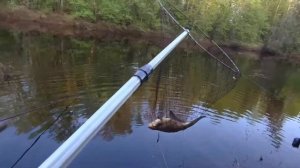 Лещ на фидер! Рыбалка в Нижегородской области