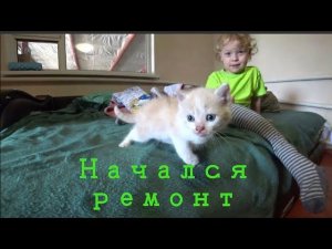 VLOG| КУПИЛИ ДОМ НА ЮГЕ// РЕМОНТ В ГОСТИНОЙ//ОГОРОДНЫЕ ДЕЛА //СОЖГЛИ МУСОР//