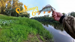 Вечерняя рыбалка с берега на спиннинг, Рыбалка летом на реке