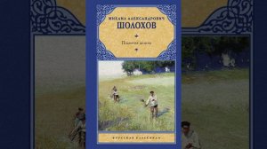 Михаил Шолохов. Поднятая целина. Книга первая. Глава 33.