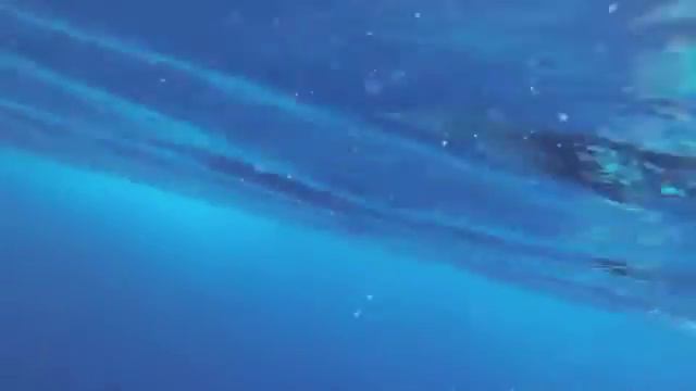 Киты смотреть онлайн