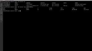 How to see running processes inside a Docker container