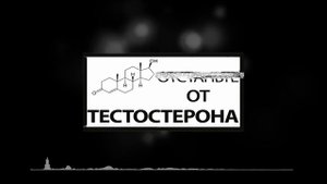 Воздержание и Тестостерон