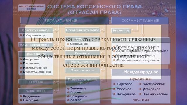 § 11 "Система российского права", Обществознание 7 класс