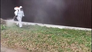 КОМПЛЕКСНАЯ ОБРАБОТКА ПЕРИМЕТРА УЧАСТКА ОТ НАСЕКОМЫХ И КРОТОВ/КРОТЫ/МУРАВЬИ/КЛЕЩИ/ЧЕХОВСКИЙ РАЙОН
