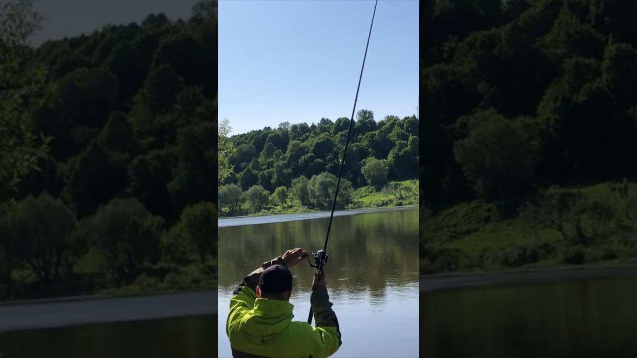 КРУПНЫЙ ЛЕЩ достали НА ТОНКУЮ СНАТЬ смотреть онлайн
