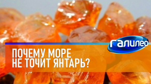 Галилео | 0050 ? Почему море не точит янтарь?