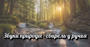 Звуки природы - свирель у ручья