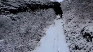 Walking to Svartifoss waterfall