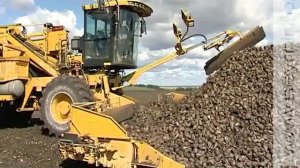 На повестке дня - уборка сахарной свеклы