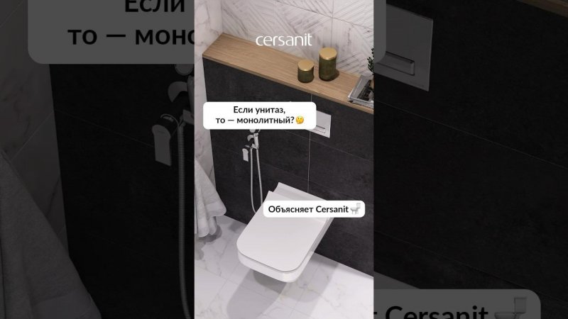 Почему лучше выбрать монолитный унитаз? Объясняет Cersanit #унитаз #сантехника