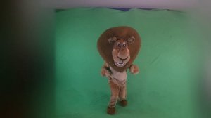 ай лайк ту мувед, мувед лев танцует на зеленом фоне, хромакей, футаж