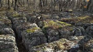 "Каменные руны" на горе Бойка