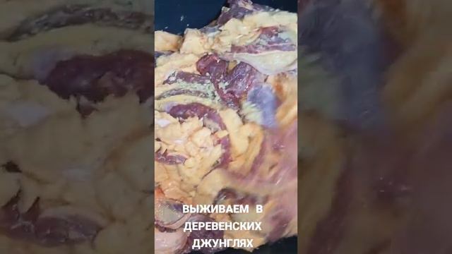 СЛАБОНЕРВНЫМ НЕ СМОТРЕТЬ смотреть онлайн