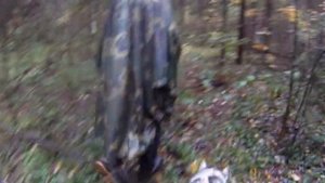 Ладис - испытания по кровяному следу