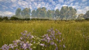 С. Рахманинов. НАЕДИНЕ С СОБОЙ (на тему из Второго Фортеп. концерта) - (Фото Вяч. Зайцева (Волосово