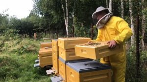 Удалитель Пчёл