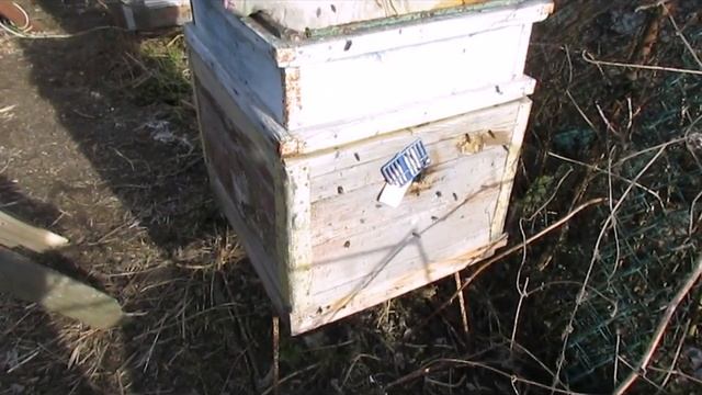 теплое дно улья без обогревателей, для лучшего весеннего развития пчел смотреть онлайн