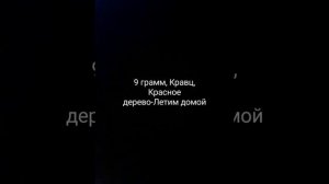 9 грамм, Кравц, Красное дерево-Летим домой
