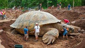 Недавние научные открытия, которые вы, вероятно, упустили