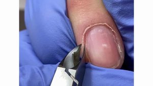 Практика кусачки 1