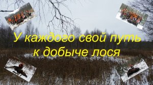 Охота на лося или у каждого свой путь к добыче первого лося