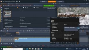 Изменение временных настроек  Ускорение, замедление времени  slow motion  в Pinnacle studio 23