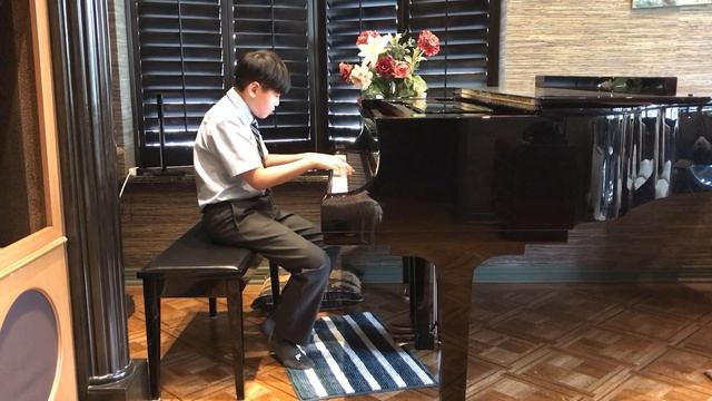Ethan wang plays Mazurka op.7.no.2 by Chopin смотреть онлайн