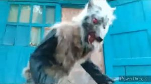 Охотник (КиШ фан видео с маской оборотня)