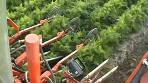 Simon - Колнаг  комбайны для уборки моркови